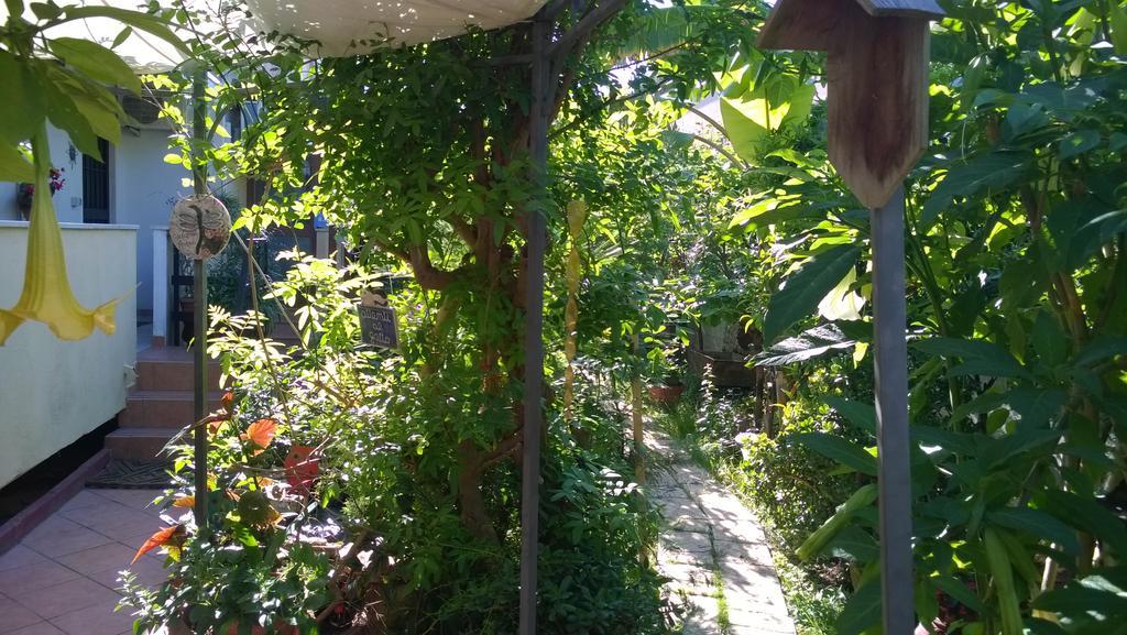 B&B Mare E Sole Brindisi Luaran gambar
