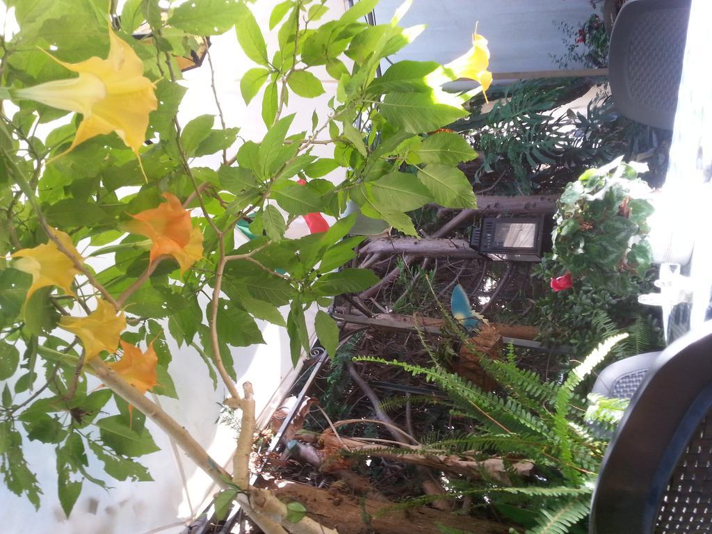 B&B Mare E Sole Brindisi Luaran gambar