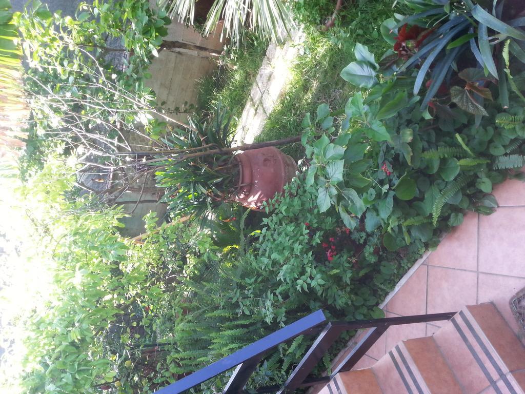 B&B Mare E Sole Brindisi Luaran gambar